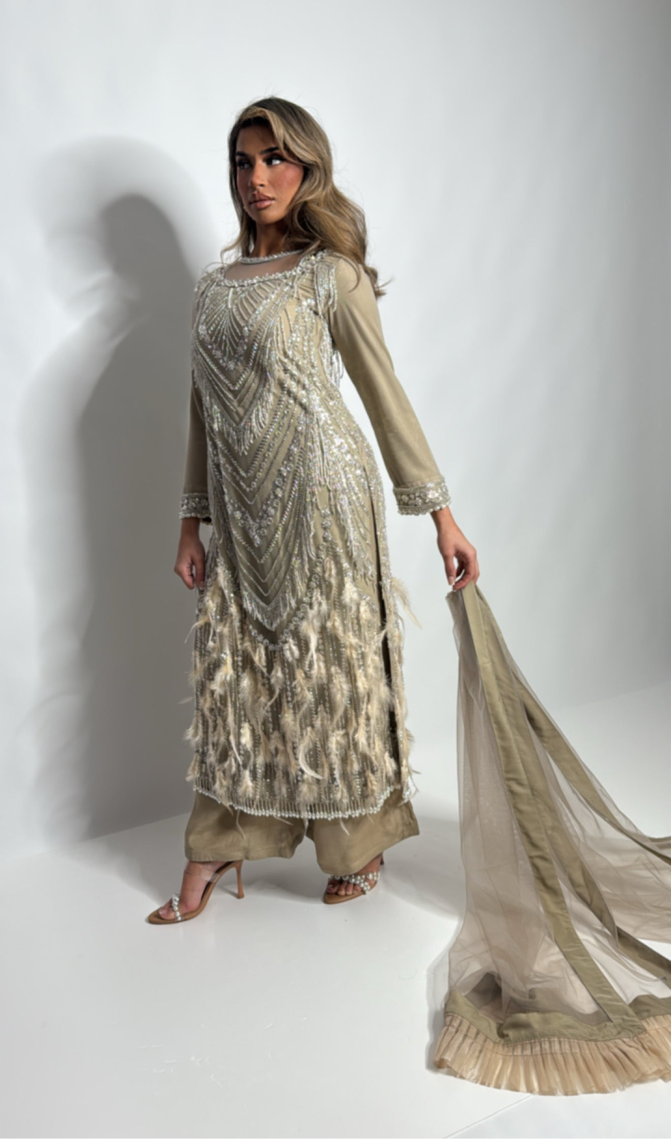 Knightsbridge Taupe Feathered Cutdana Embroidered Pakistani Suit