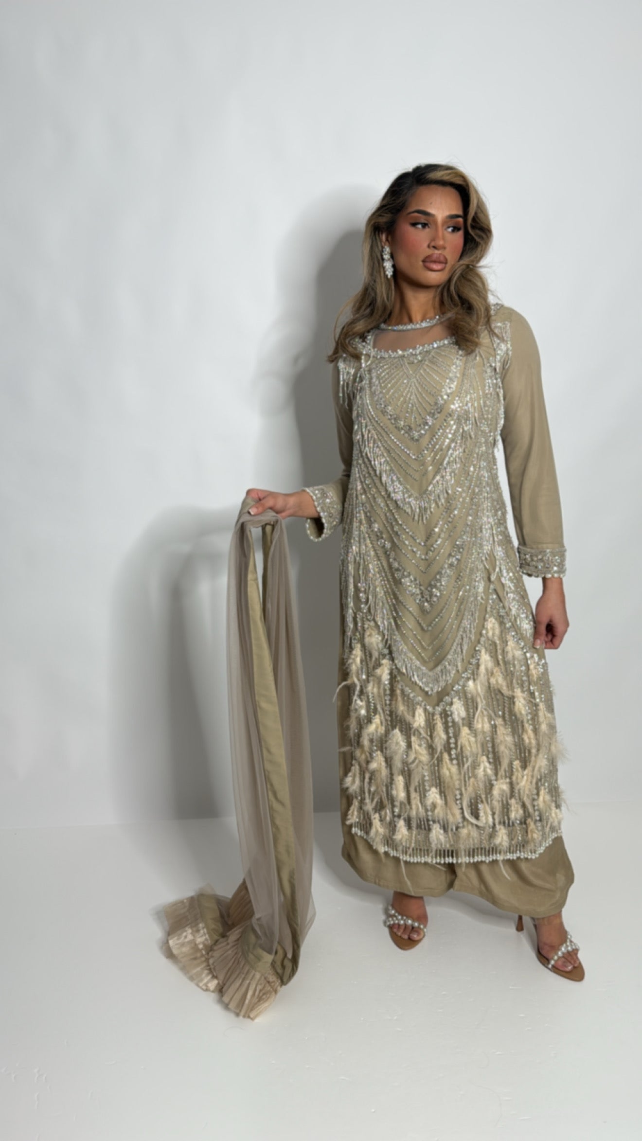 Knightsbridge Taupe Feathered Cutdana Embroidered Pakistani Suit