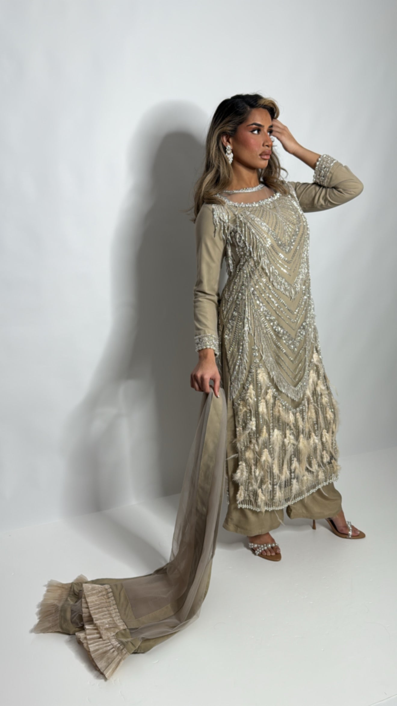 Knightsbridge Taupe Feathered Cutdana Embroidered Pakistani Suit