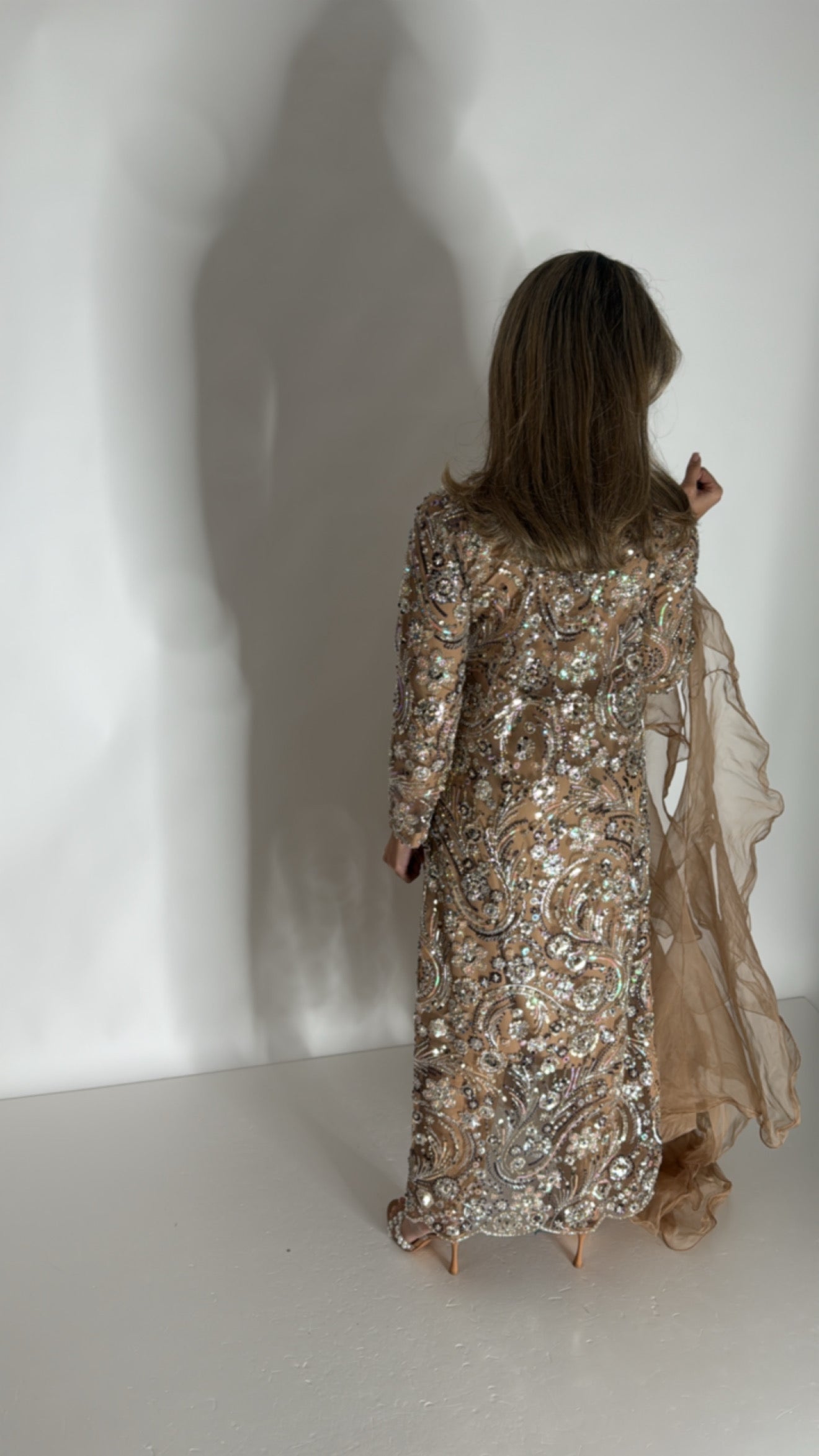 Leocina Mocha Cutdana Embroidered Pakistani Suit